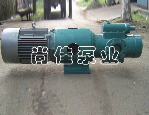 SNF法兰式三螺杆泵