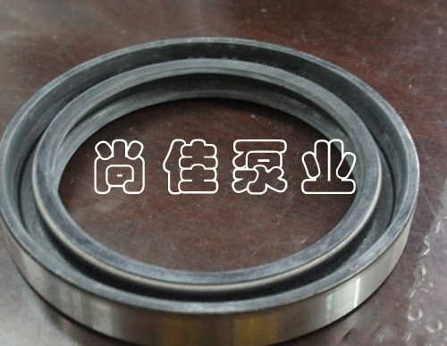 高压骨架油封