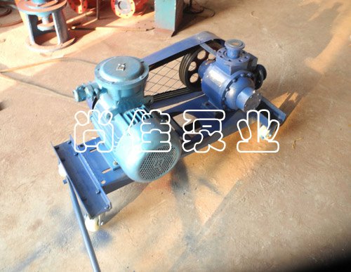 液化气泵 液氨泵