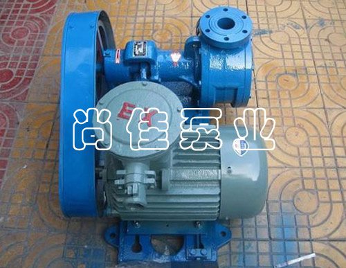 NCB高粘度转子泵