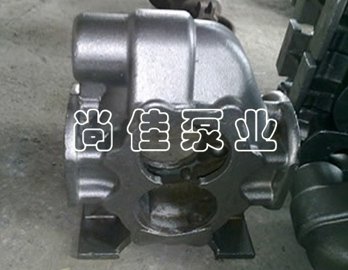 齿轮泵铸件